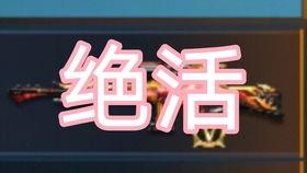 洛克手游最新爆料视频,神秘角色登场，战斗系统革新揭秘！