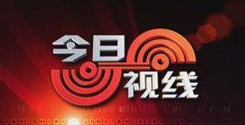 汕头最新爆料新闻直播今天,直播揭露城市热点事件，真相揭晓！